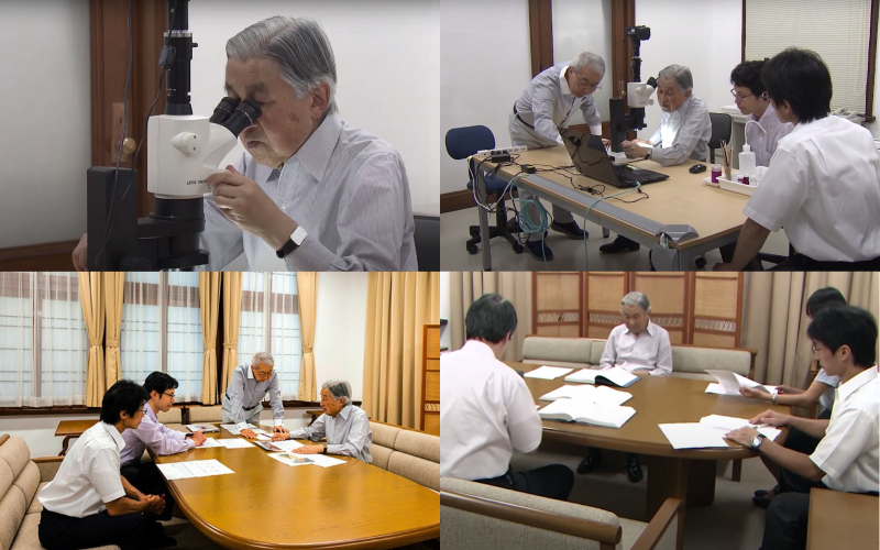 akihito-ca-bong-moi akihito-ca-bong-moi